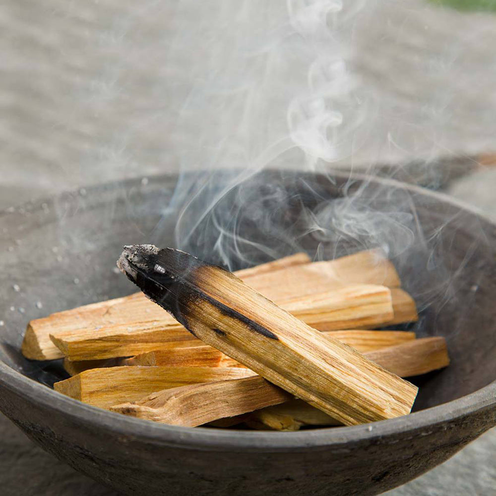 Exploring the Sacred Ritual of Palo Santo: Steps, Benefits, and Mysteries