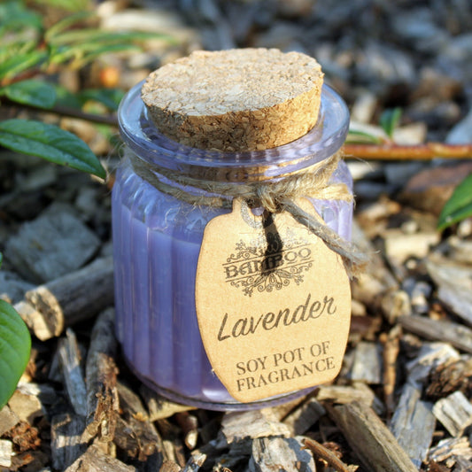 Soy candle pot - Lavender