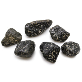 Bag of 6 Large African Tumble Stones - Guinea Fowl